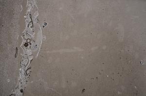 Cross Polarized, E51008/A