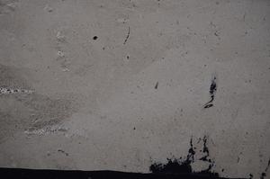 Cross Polarized, E51008/B