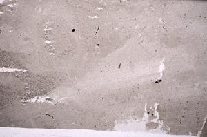 Plane Polarized, E51008/B