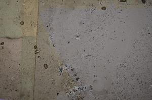 Cross Polarized, E51009