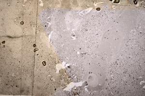 Plane Polarized, E51009