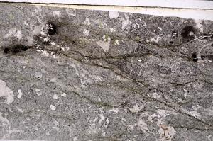 Plane Polarized, E51029