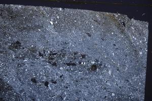 Cross Polarized, E51030