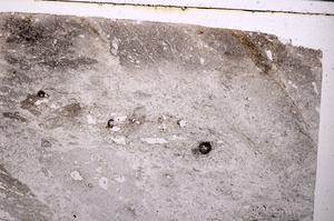 Plane Polarized, E51030