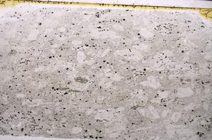 Plane Polarized, E51035