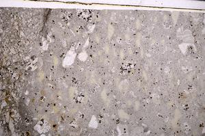 Plane Polarized, E51062