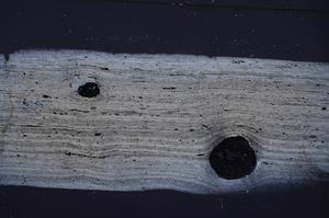 Cross Polarized, E51064