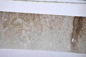 Plane Polarized, E51077