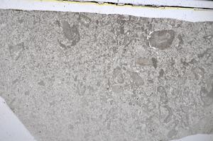 Plane Polarized, E51278