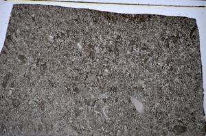 Plane Polarized, E51283