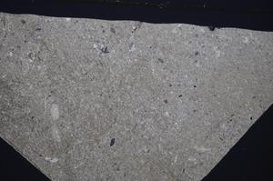 Cross Polarized, E51307