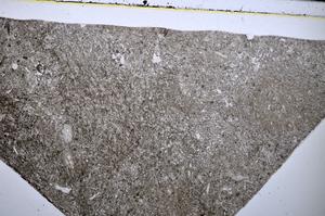 Plane Polarized, E51307