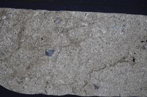 Cross Polarized, E51308