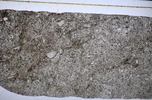 Plane Polarized, E51308