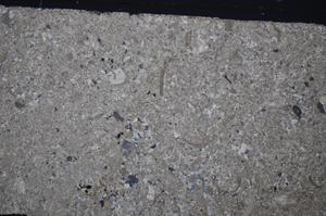 Cross Polarized, E51309