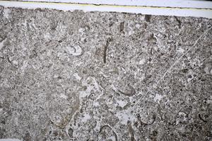 Plane Polarized, E51309