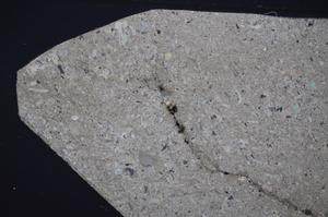 Cross Polarized, E51310