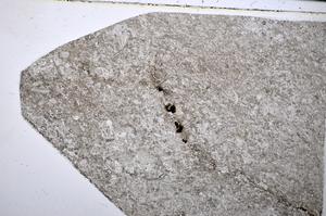 Plane Polarized, E51310