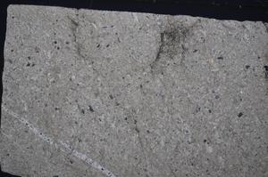 Cross Polarized, E51314