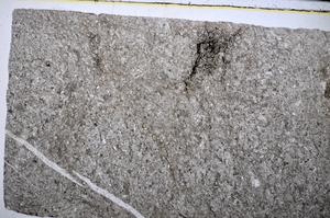 Plane Polarized, E51314