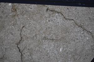 Cross Polarized, E51316