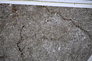 Plane Polarized, E51316