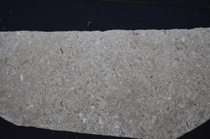 Cross Polarized, E51317