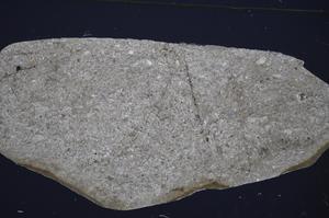 Cross Polarized, E51318