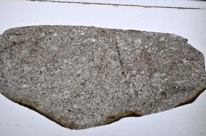 Plane Polarized, E51318