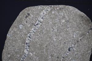 Cross Polarized, E51319