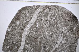 Plane Polarized, E51319