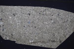 Cross Polarized, E51320