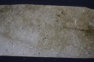 Cross Polarized, E51321