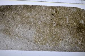 Plane Polarized, E51321