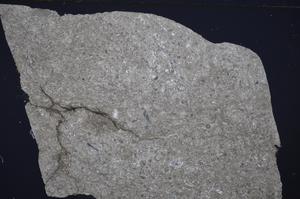 Cross Polarized, E51322