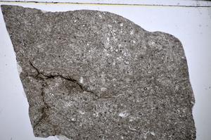 Plane Polarized, E51322