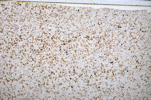 Plane Polarized, E51331/A