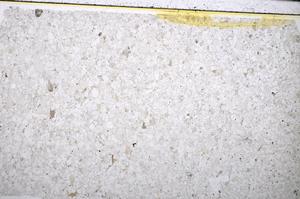 Plane Polarized, E51332/A