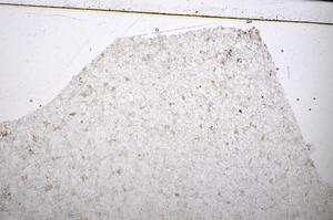Plane Polarized, E51332/C