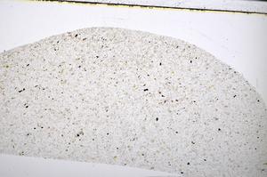 Plane Polarized, E51333/A