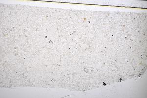 Plane Polarized, E51334/B