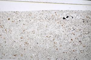 Plane Polarized, E51348/B