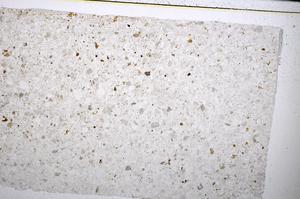 Plane Polarized, E51361/A