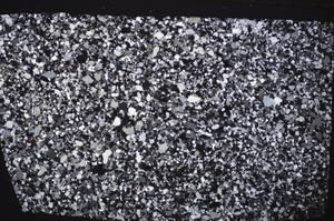 Cross Polarized, E51361/B