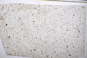 Plane Polarized, E51361/B