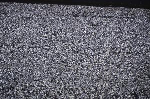 Cross Polarized, E51362/A