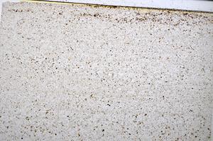 Plane Polarized, E51362/B