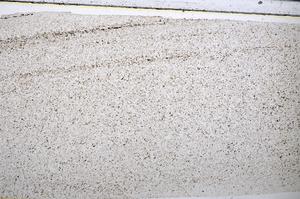 Plane Polarized, E51364/A