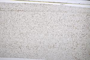 Plane Polarized, E51364/B