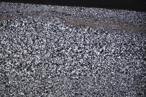 Cross Polarized, E51365/A